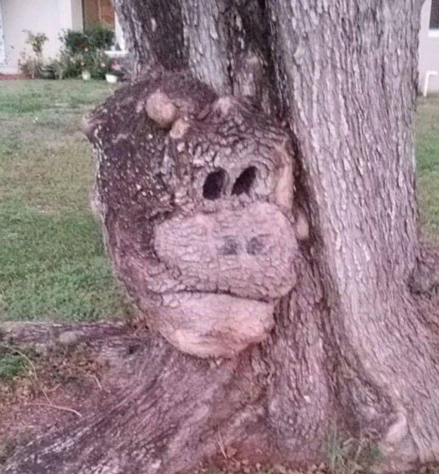 Interesting Findings (18 pics)