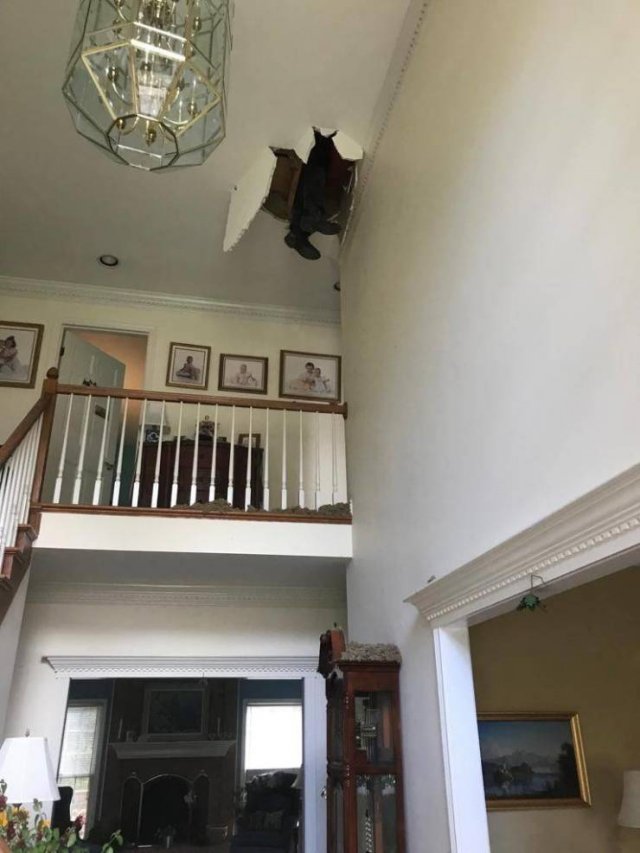 Bad Days Happen (46 pics)