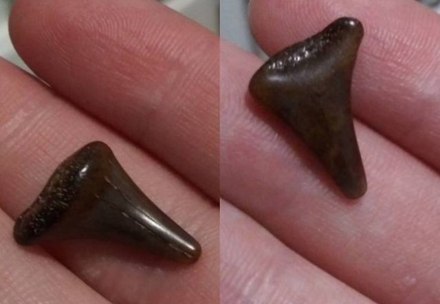 Interesting Findings (18 pics)