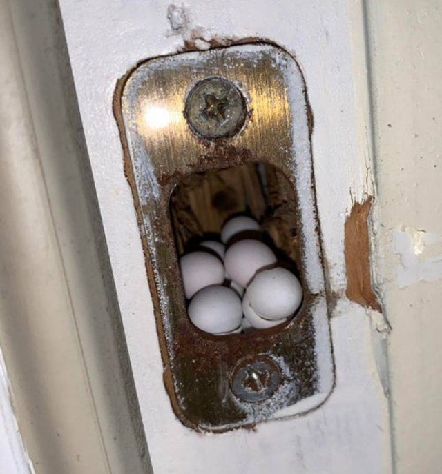 Interesting Findings (18 pics)