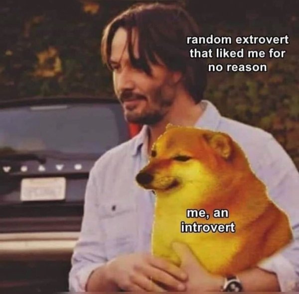 Introvert Memes (29 pics)