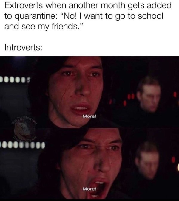 Introvert Memes (29 pics)