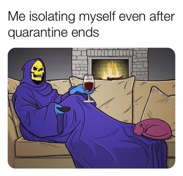 Introvert Memes (29 pics)