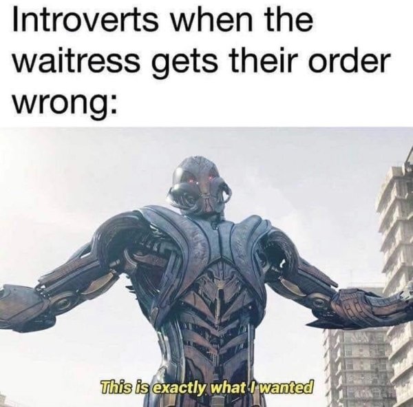 Introvert Memes (29 pics)