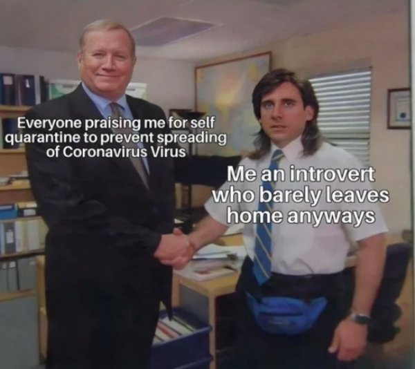 Introvert Memes (29 pics)