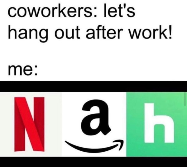 Introvert Memes (29 pics)