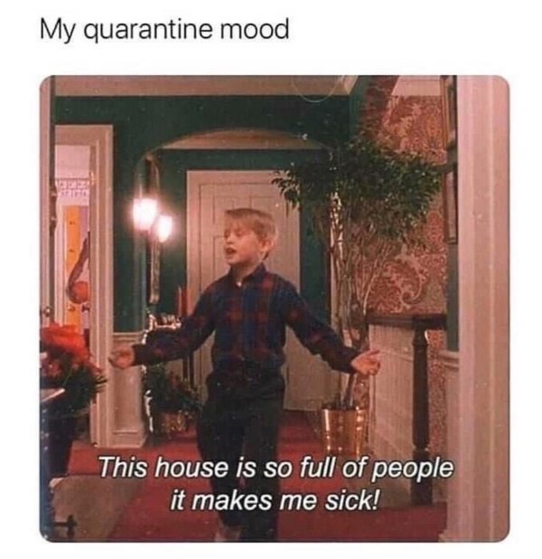 Introvert Memes (29 pics)