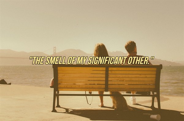 People Tell About Their Favorite Smells (25 pics)