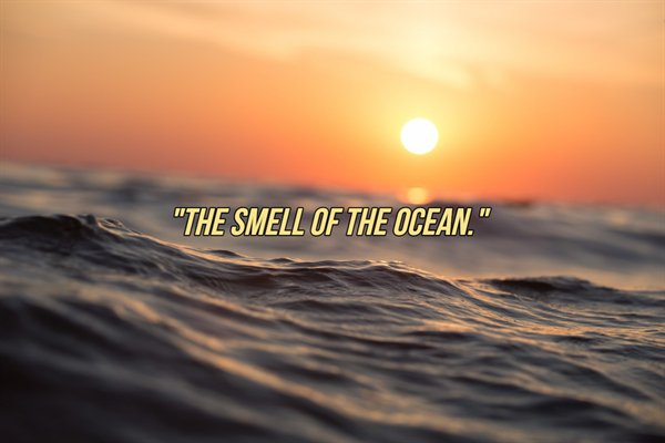 People Tell About Their Favorite Smells (25 pics)