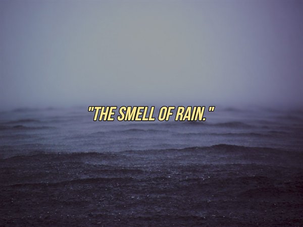 People Tell About Their Favorite Smells (25 pics)