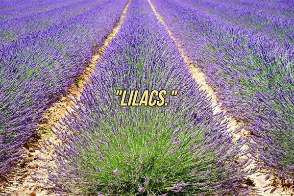 People Tell About Their Favorite Smells (25 pics)