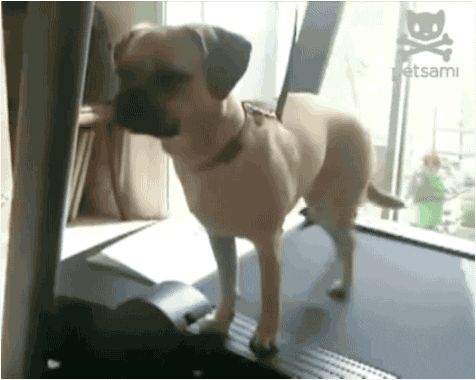 Acid Gifdump, October 6 (25 gifs)