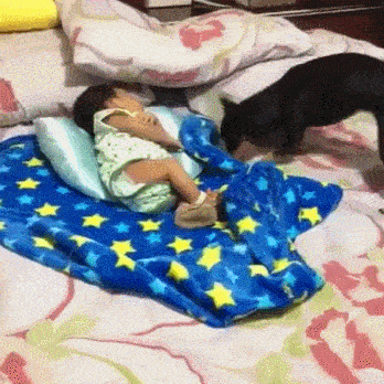 Acid Gifdump, October 6 (25 gifs)