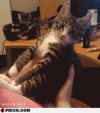 Acid Gifdump, October 6 (25 gifs)