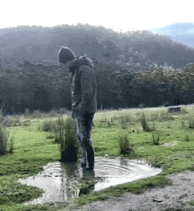Acid Gifdump, October 6 (25 gifs)