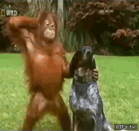 Acid Gifdump, October 6 (25 gifs)