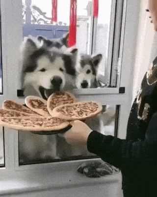 Acid Gifdump, October 6 (25 gifs)