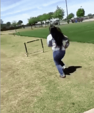 Acid Gifdump, October 6 (25 gifs)