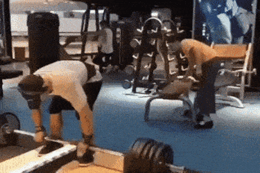Acid Gifdump, October 6 (25 gifs)