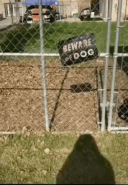 Acid Gifdump, October 6 (25 gifs)