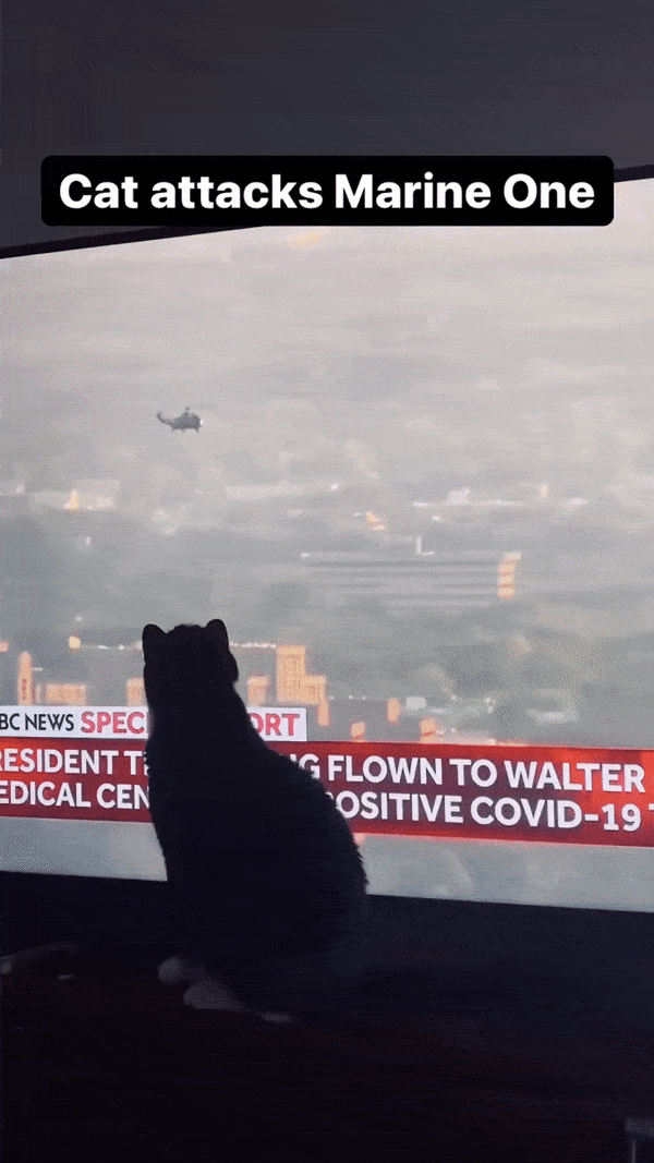 Acid Gifdump, October 6 (25 gifs)