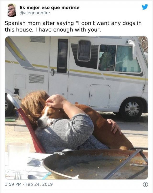These Moms Refused To Have Dogs (22 pics)
