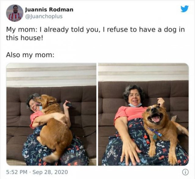 These Moms Refused To Have Dogs (22 pics)