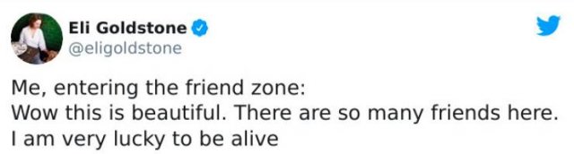 Friendzone Tweets (35 pics)