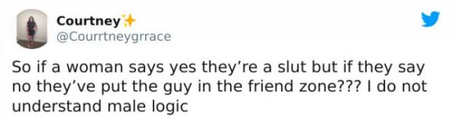 Friendzone Tweets (35 pics)