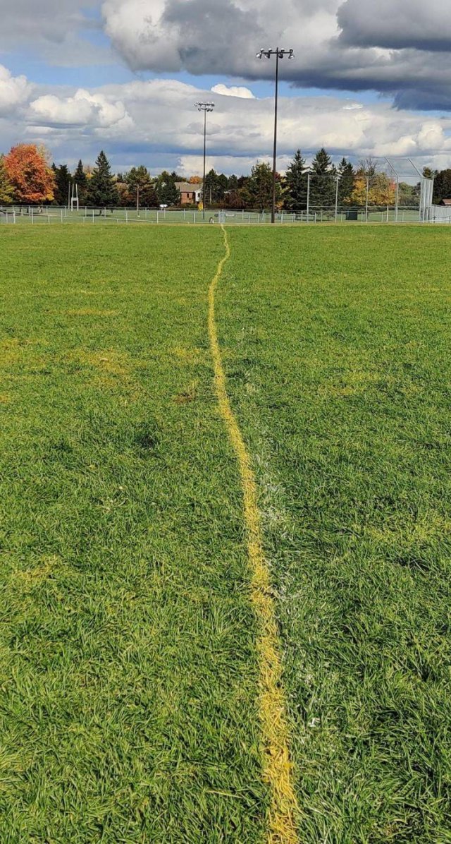 Almost Nailed It (45 pics)
