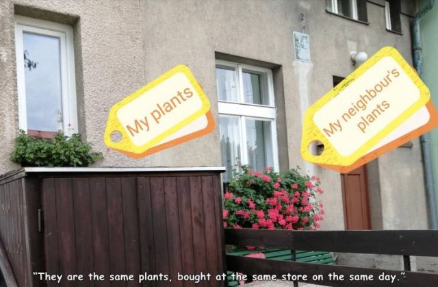 Acid Picdump. Part 1 (95 pics)