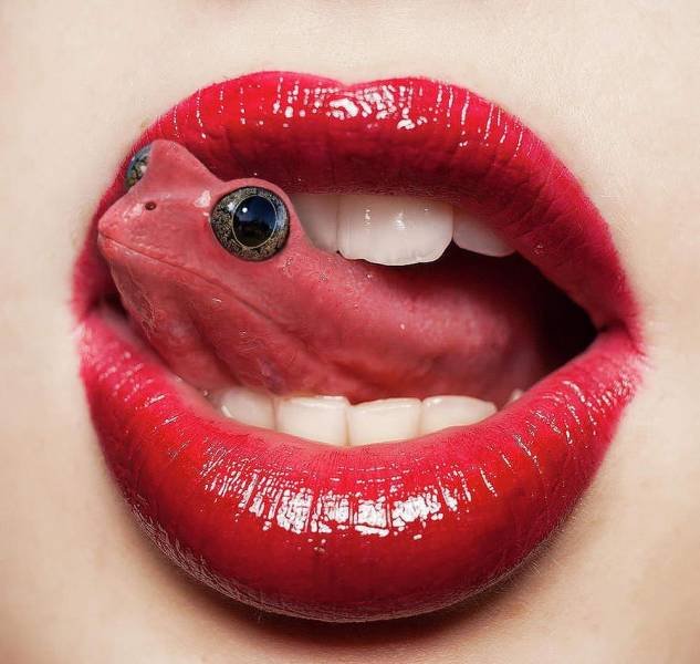 Acid Picdump. Part 1 (95 pics)