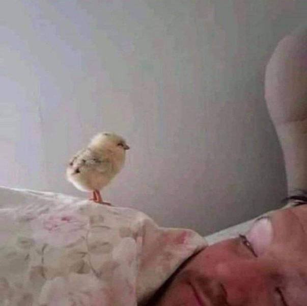 Acid Picdump. Part 1 (95 pics)
