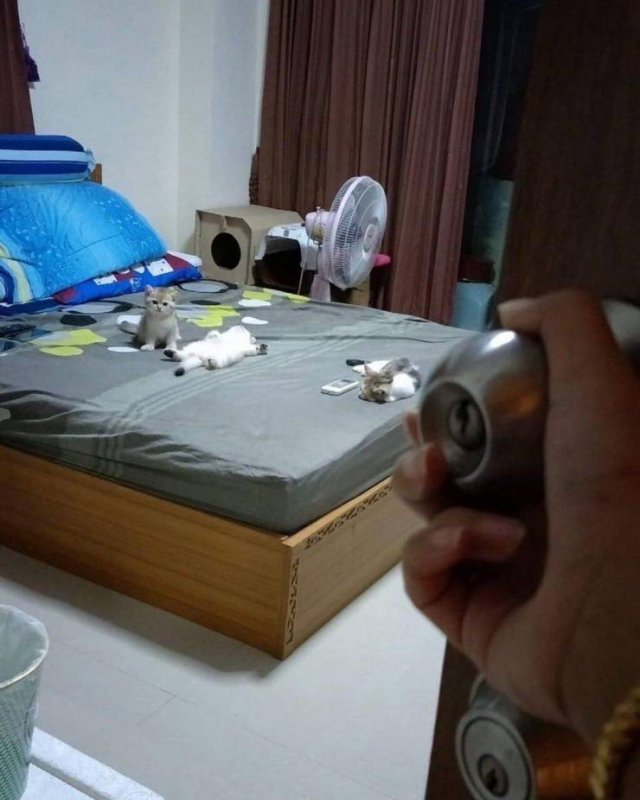 Acid Picdump. Part 1 (95 pics)