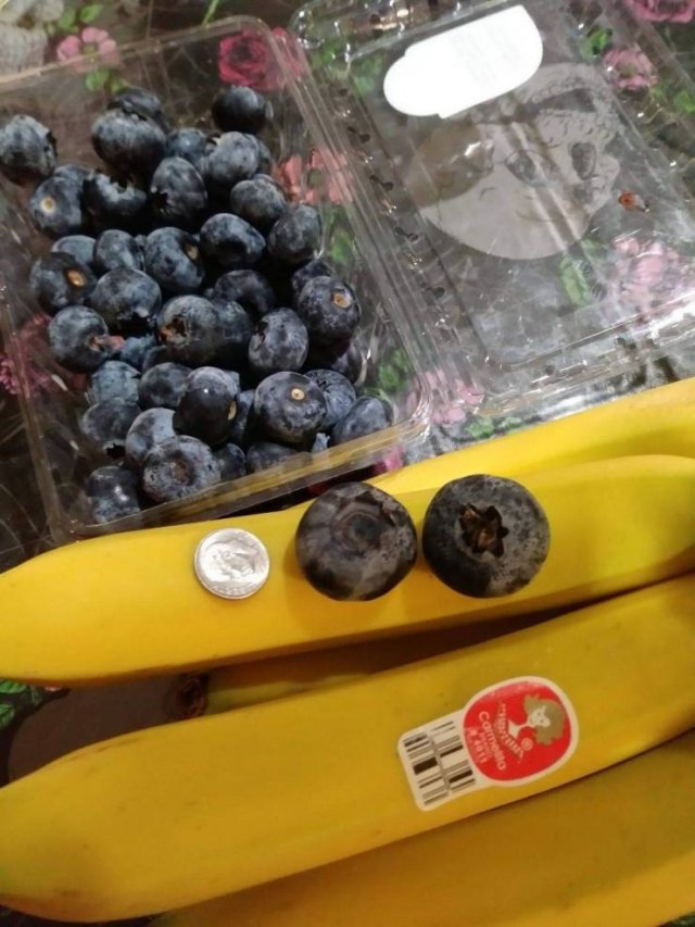 Acid Picdump. Part 1 (95 pics)