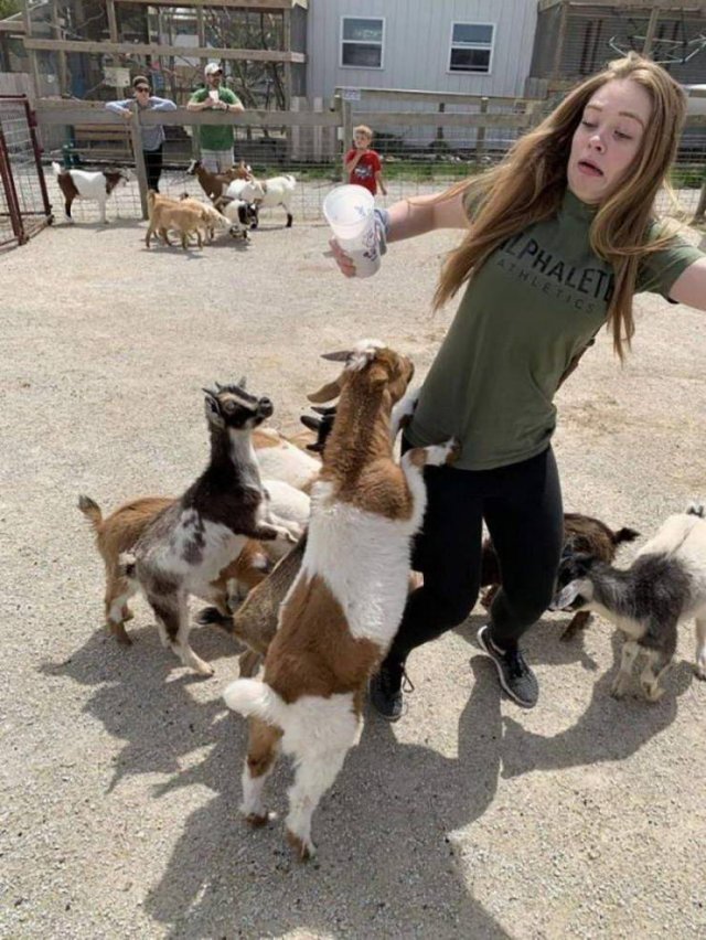 Acid Picdump. Part 1 (95 pics)