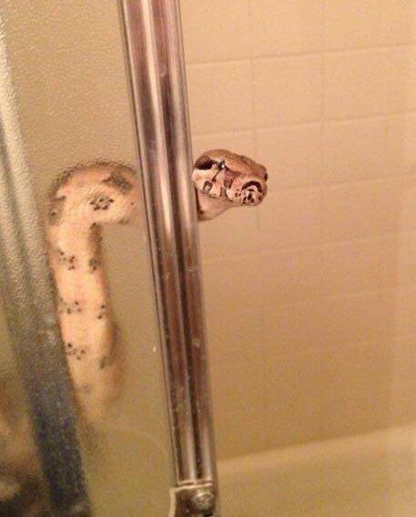 Acid Picdump. Part 1 (95 pics)