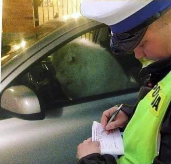Acid Picdump. Part 1 (95 pics)