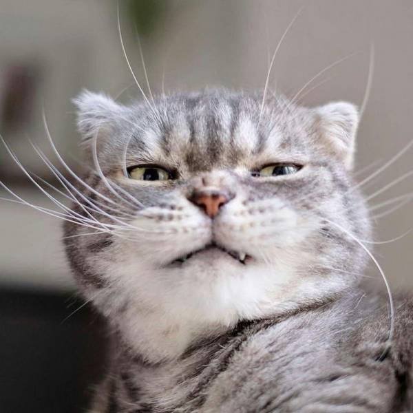 Acid Picdump. Part 1 (95 pics)
