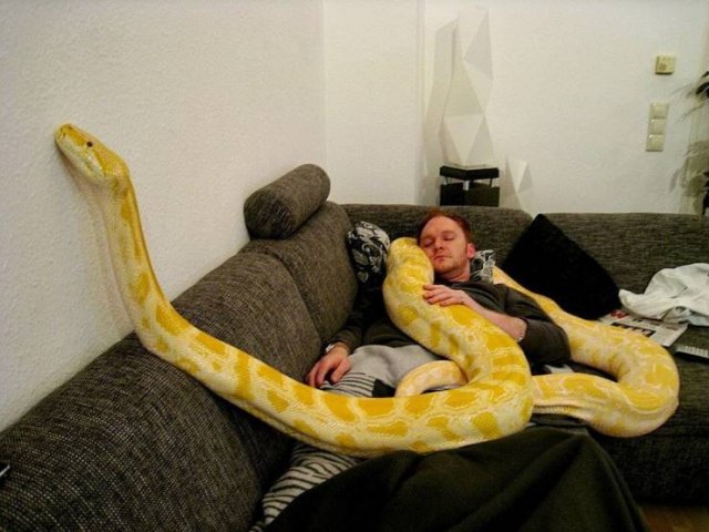 Acid Picdump. Part 1 (95 pics)