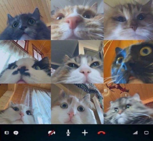 Acid Picdump. Part 1 (95 pics)