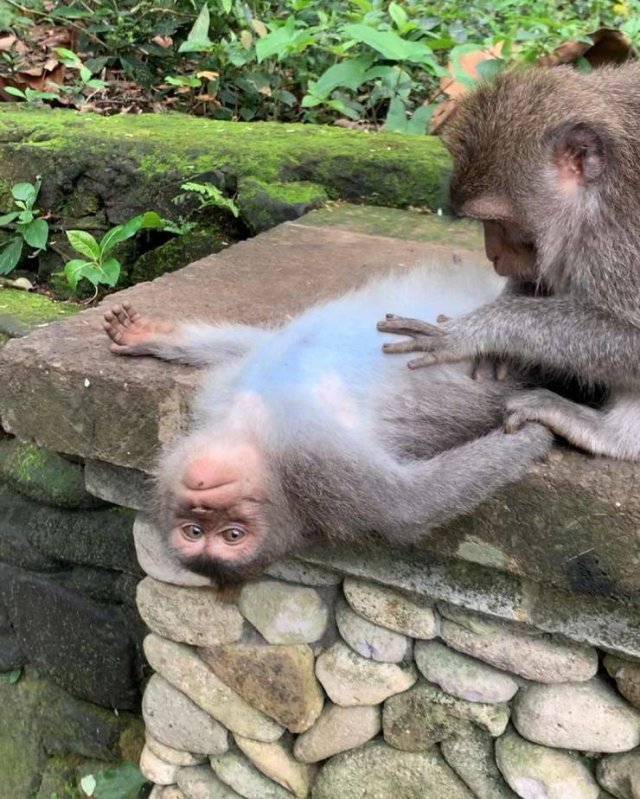 Acid Picdump. Part 1 (95 pics)