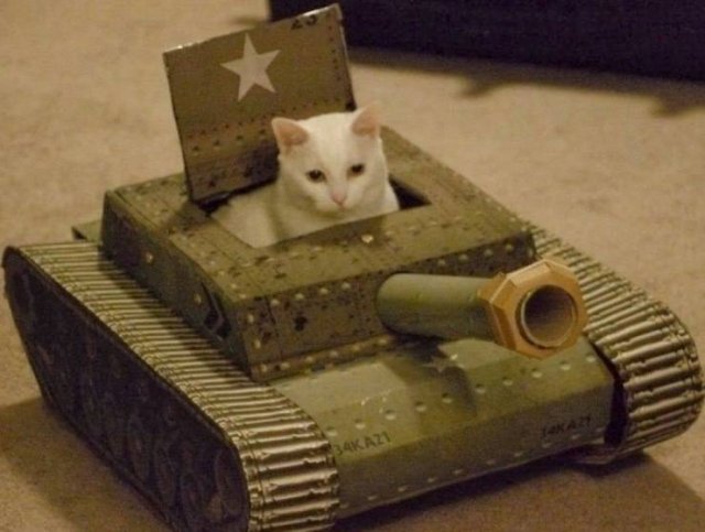 Acid Picdump. Part 1 (95 pics)