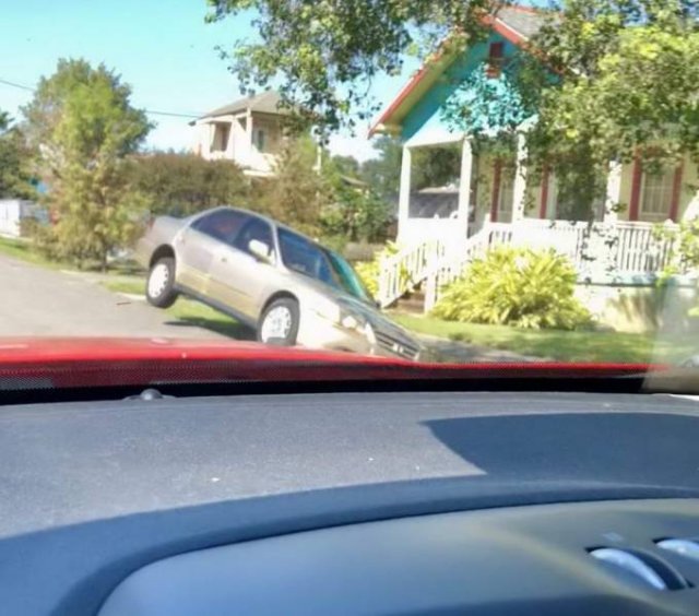 Acid Picdump. Part 1 (95 pics)