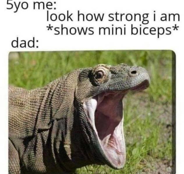 Wholesome Memes (38 pics)