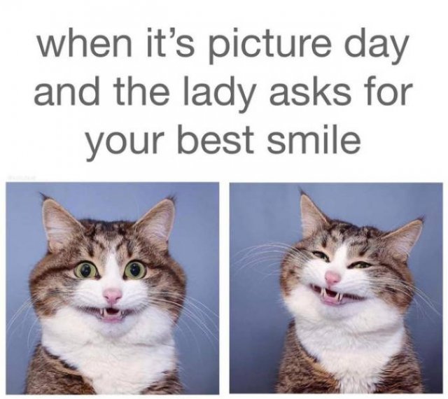 Wholesome Memes (38 pics)