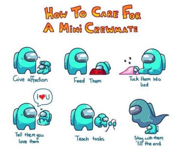 Wholesome Memes (38 pics)