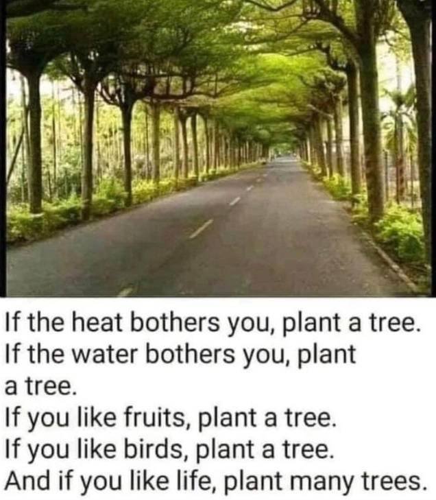 Wholesome Memes (38 pics)