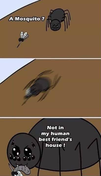 Wholesome Memes (38 pics)