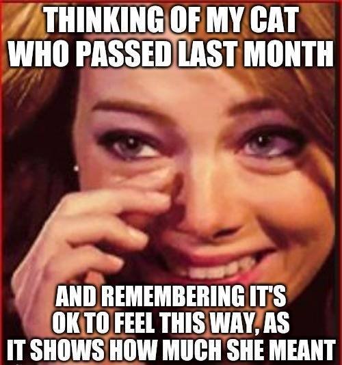 Wholesome Memes (38 pics)